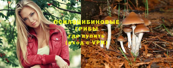 гашик Волоколамск