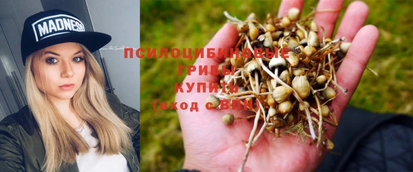 гашик Волоколамск