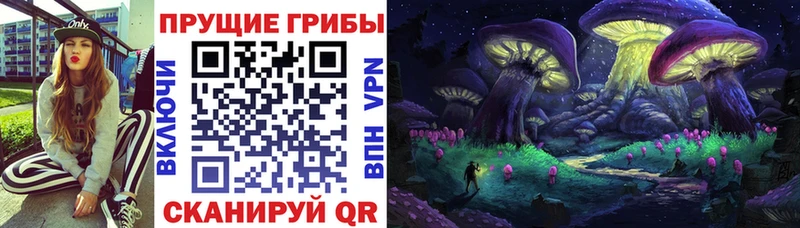 Галлюциногенные грибы Magic Shrooms  даркнет сайт  Камбарка 