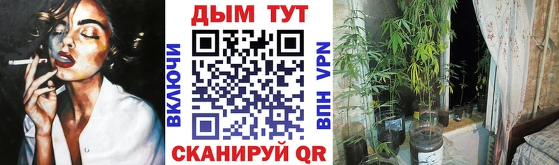 Бошки марихуана марихуана  omg вход  Камбарка 